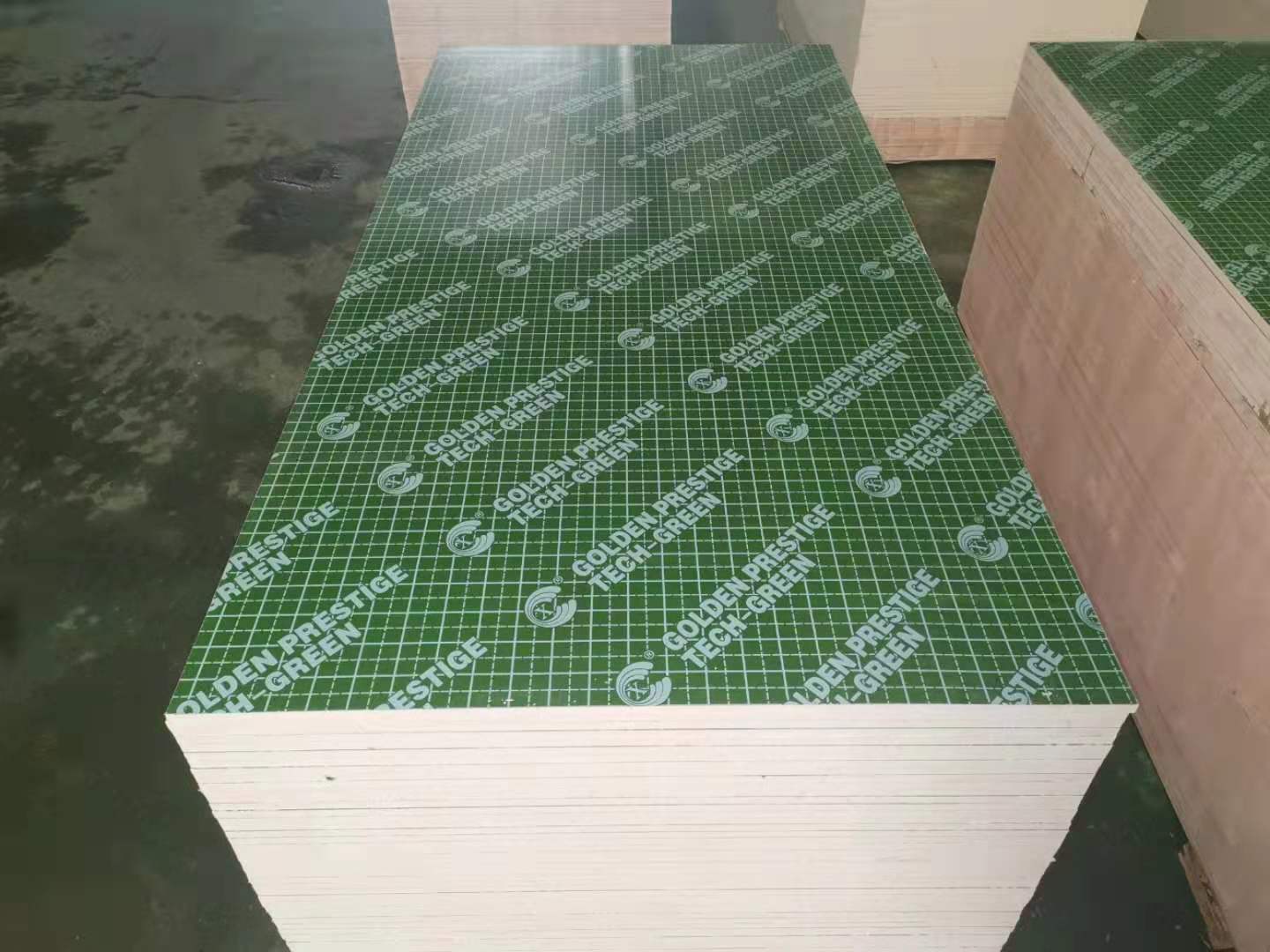 Green PP plywood with logo 